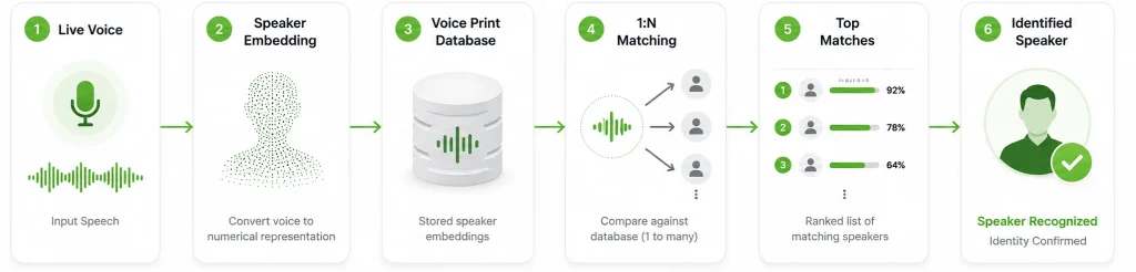 Identified Speaker